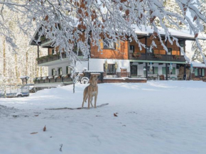  Haus Wildbach  Райт-Им-Винкль